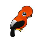 Thumbnail of Birdorable Andean Cock-of-the-rock 