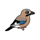 Thumbnail of Birdorable Eurasian Jay 