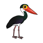 Thumbnail of Birdorable Storm's Stork 