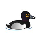 Thumbnail of Birdorable Ring-necked Duck 