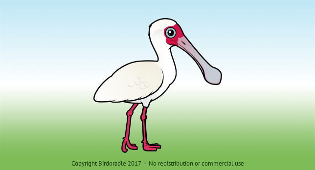 Birdorable African Spoonbill 