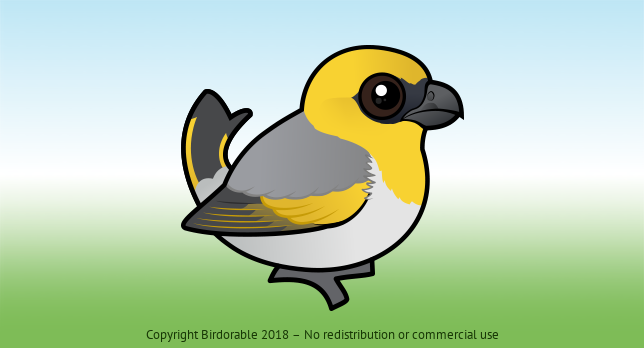 Birdorable Palila 