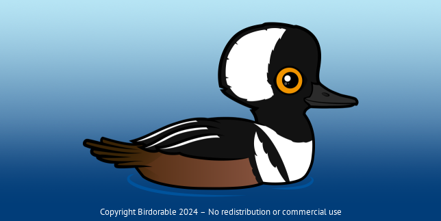Birdorable Hooded Merganser 