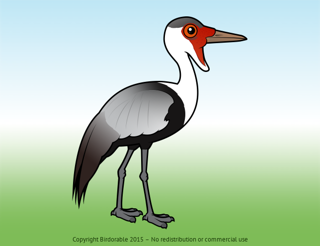 Birdorable Wattled Crane 