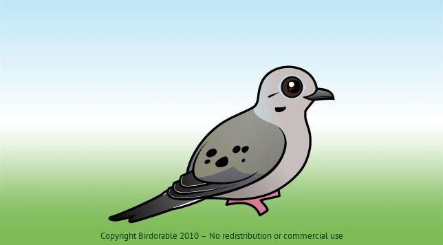 Birdorable Mourning Dove 
