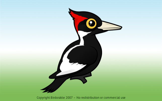 Birdorable Ivory-billed Woodpecker 
