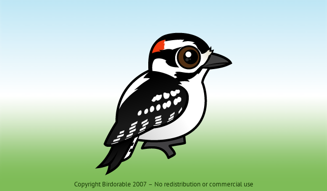 Birdorable Downy Woodpecker 