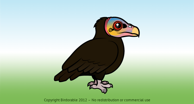 Birdorable Lesser Yellow-headed Vulture 