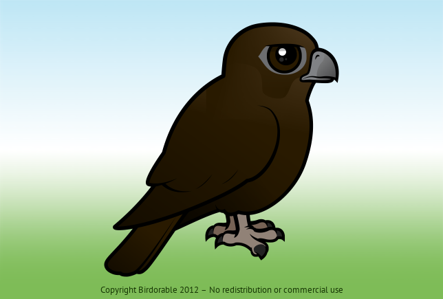 Birdorable Black Falcon 