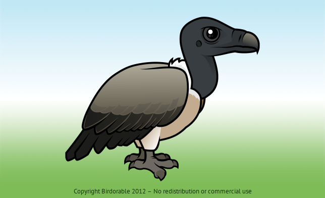 Birdorable Slender-billed Vulture 
