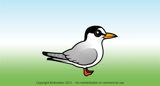 Birdorable Least Tern 