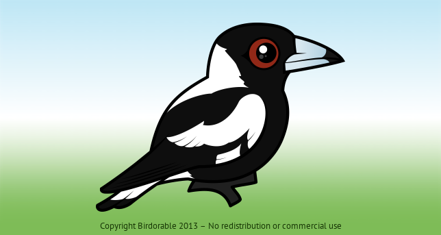 Birdorable Australian Magpie 