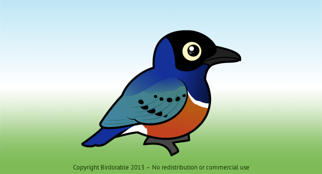 Birdorable Superb Starling 