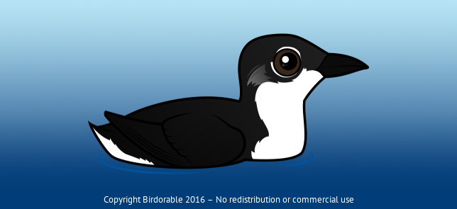 Birdorable Scripp's Murrelet 