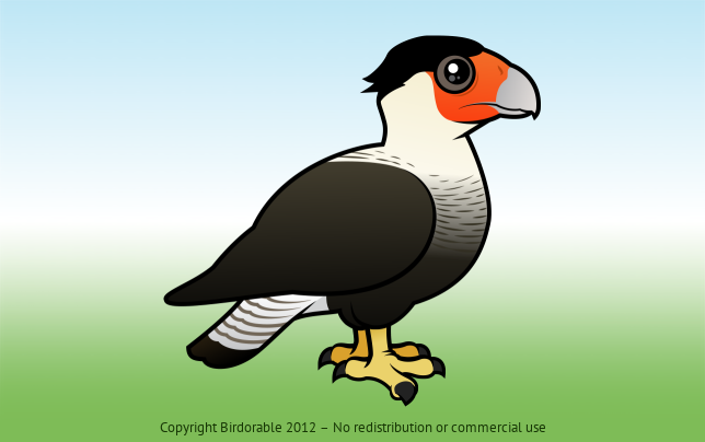 Birdorable Crested Caracara 