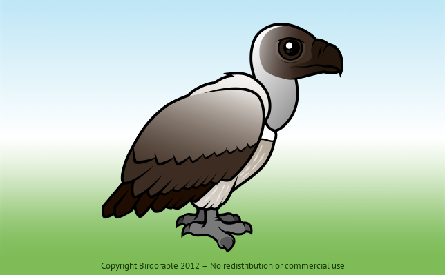 Birdorable White-backed Vulture 