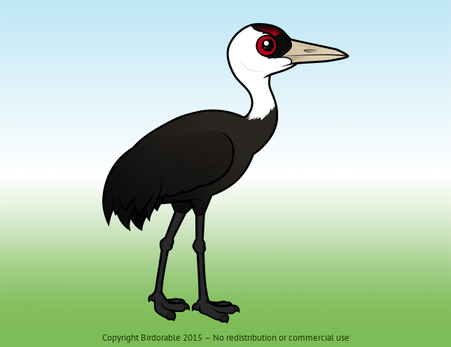 Birdorable Hooded Crane 