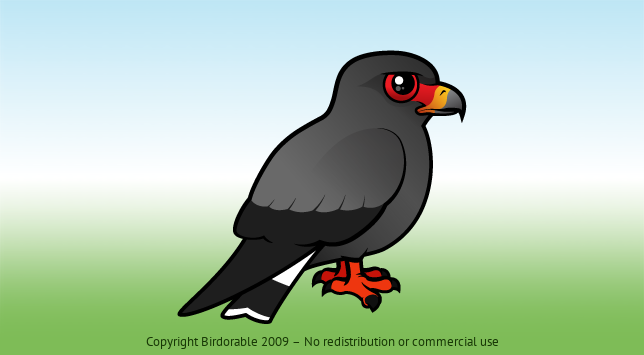 Birdorable Snail Kite 