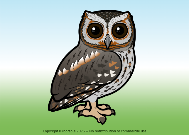 Birdorable Flammulated Owl 