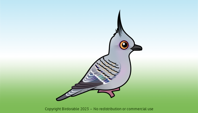 Birdorable Crested Pigeon 