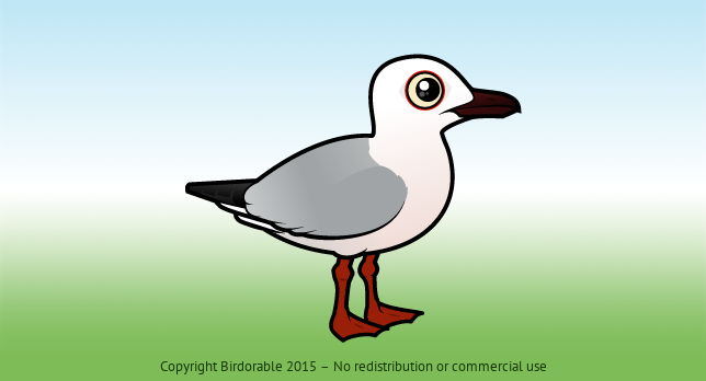 Birdorable Slender-billed Gull 