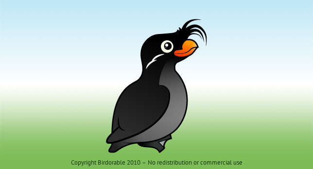 Birdorable Crested Auklet 