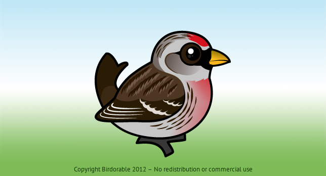 Birdorable Common Redpoll 