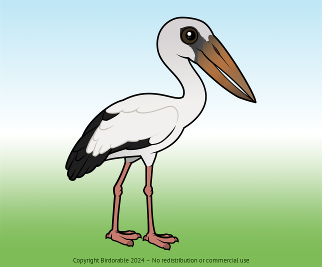 Birdorable Asian Openbill 