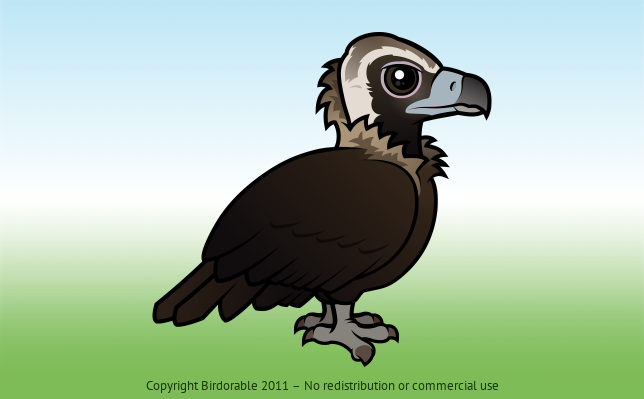 Birdorable Cinereous Vulture 