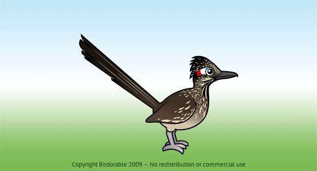 Birdorable Greater Roadrunner 