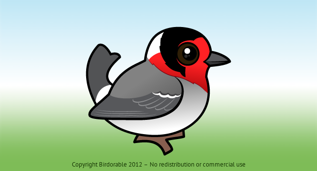Birdorable Red-faced Warbler 