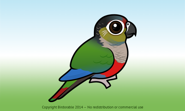 Birdorable Crimson-bellied Parakeet 