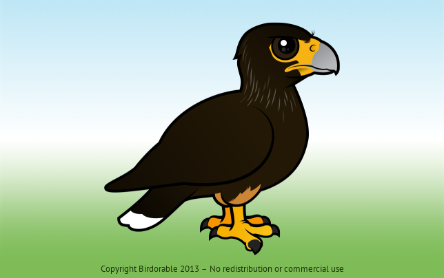 Birdorable Striated Caracara 