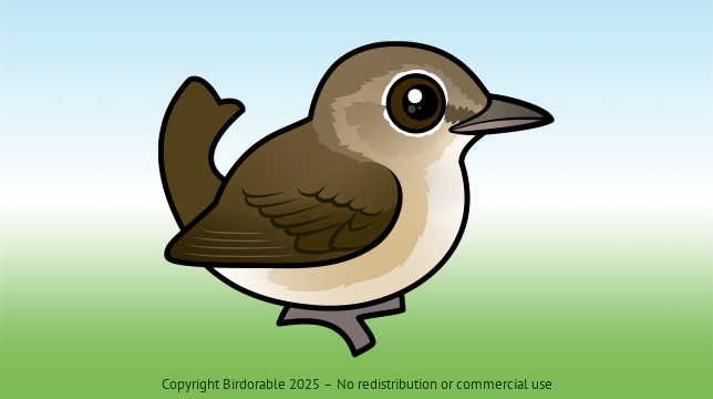 Birdorable Garden Warbler 