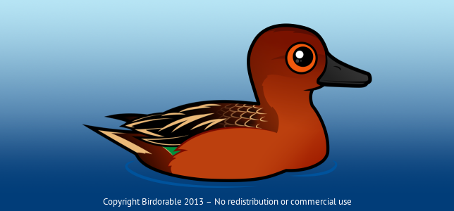 Birdorable Cinnamon Teal 