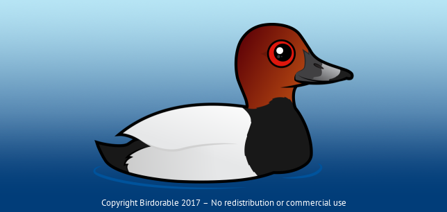 Birdorable Common Pochard 