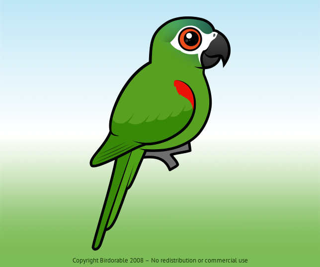 Birdorable Red-shouldered Macaw 