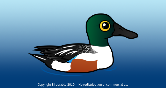Birdorable Northern Shoveler Male