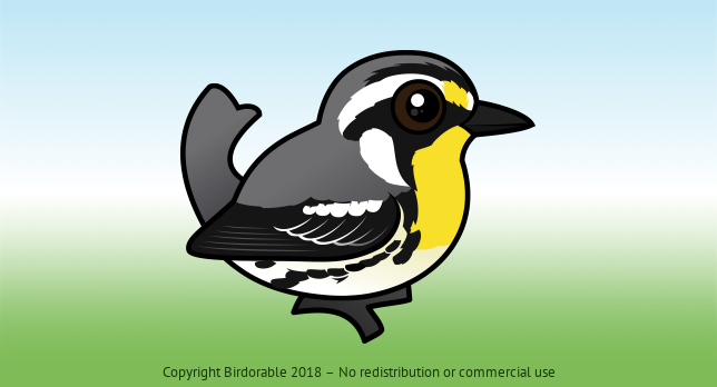Birdorable Yellow-throated Warbler 