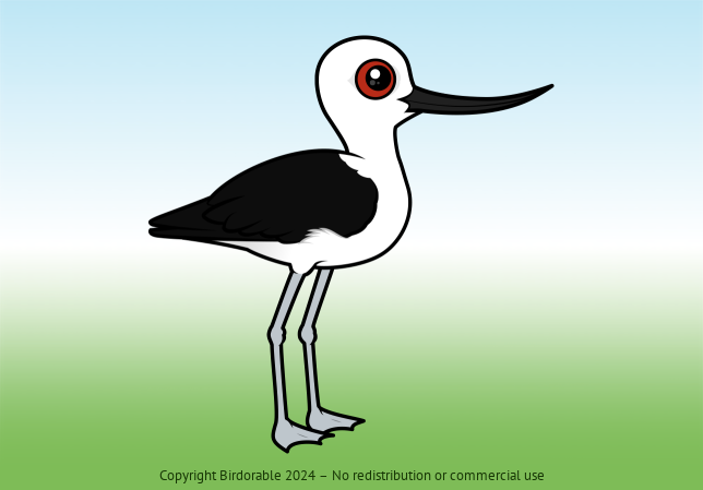 Birdorable Andean Avocet 