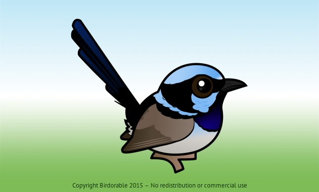 Birdorable Superb Fairywren Male
