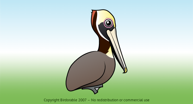 Birdorable Brown Pelican 