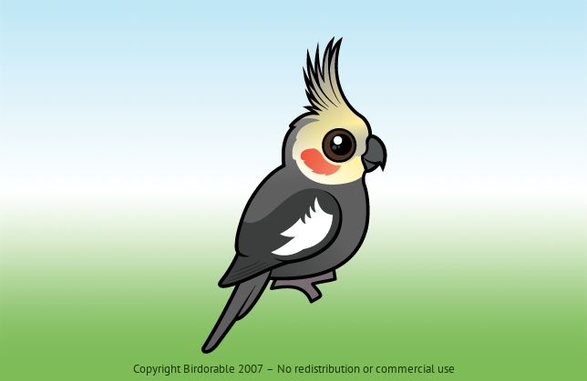 Birdorable Cockatiel 