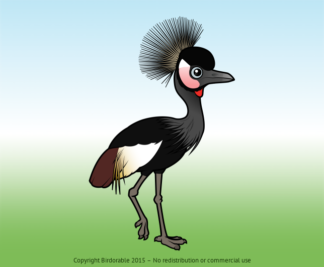 Birdorable Black Crowned-Crane 