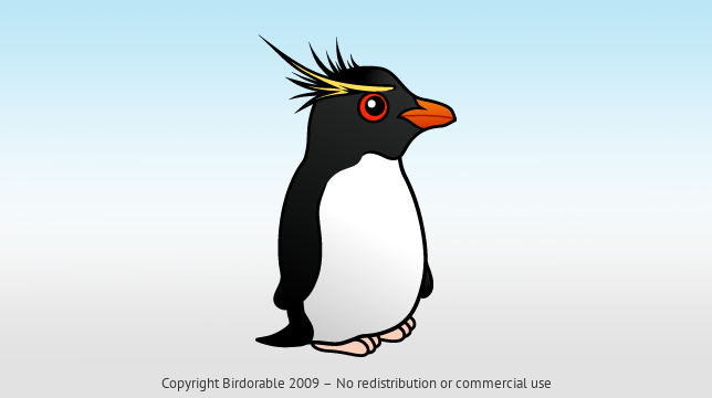 Birdorable Rockhopper Penguin 