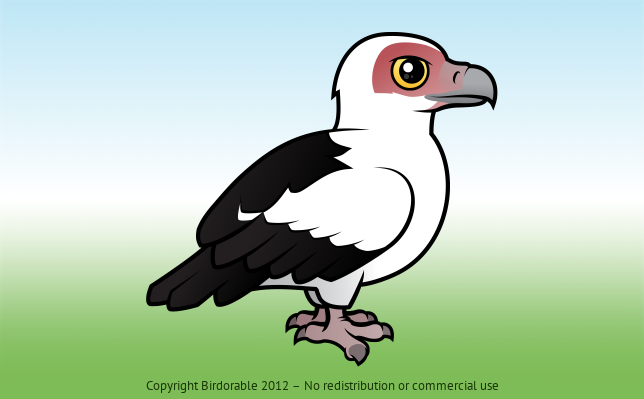 Birdorable Palm-nut Vulture 