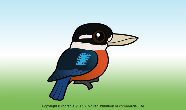 Birdorable Rufous-bellied Kookaburra 