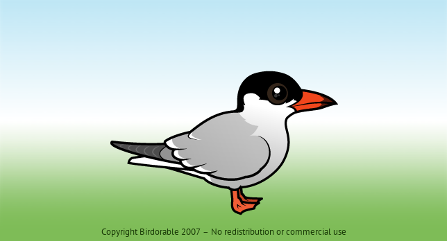 Birdorable Common Tern 