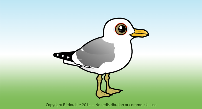 Birdorable Common Gull 