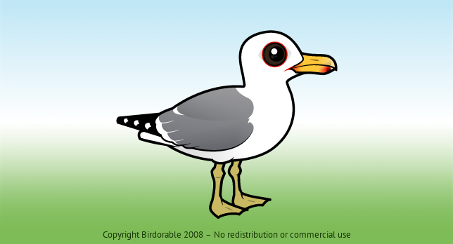Birdorable California Gull 